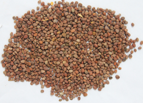 �W�ϊW��ˎ�����N��Ч���᣿